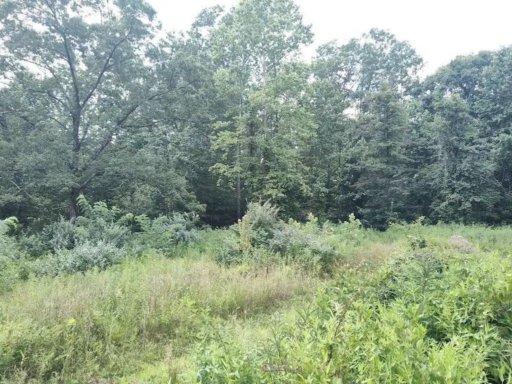1150 Logan Hollow Road Morehead KY 40351