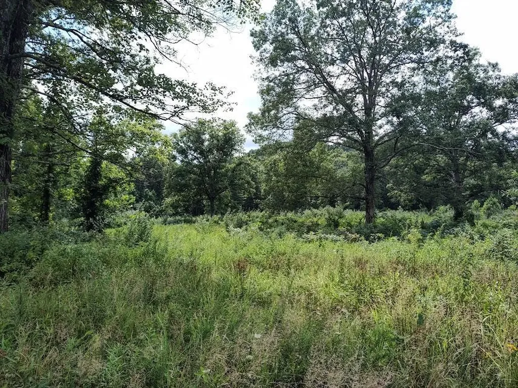 1150 Logan Hollow Road Morehead KY 40351