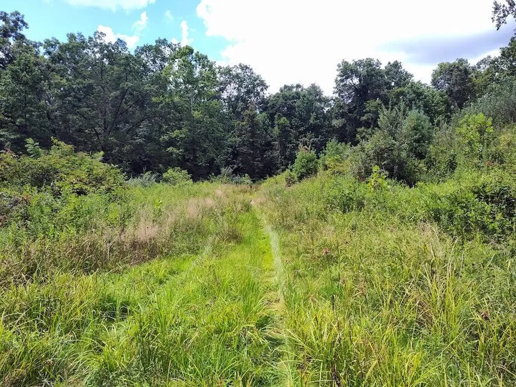 1150 Logan Hollow Road Morehead KY 40351