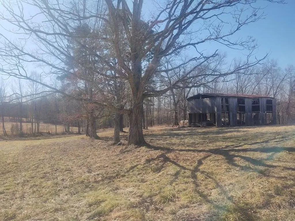 3750 Ky-801 Morehead KY 40351
