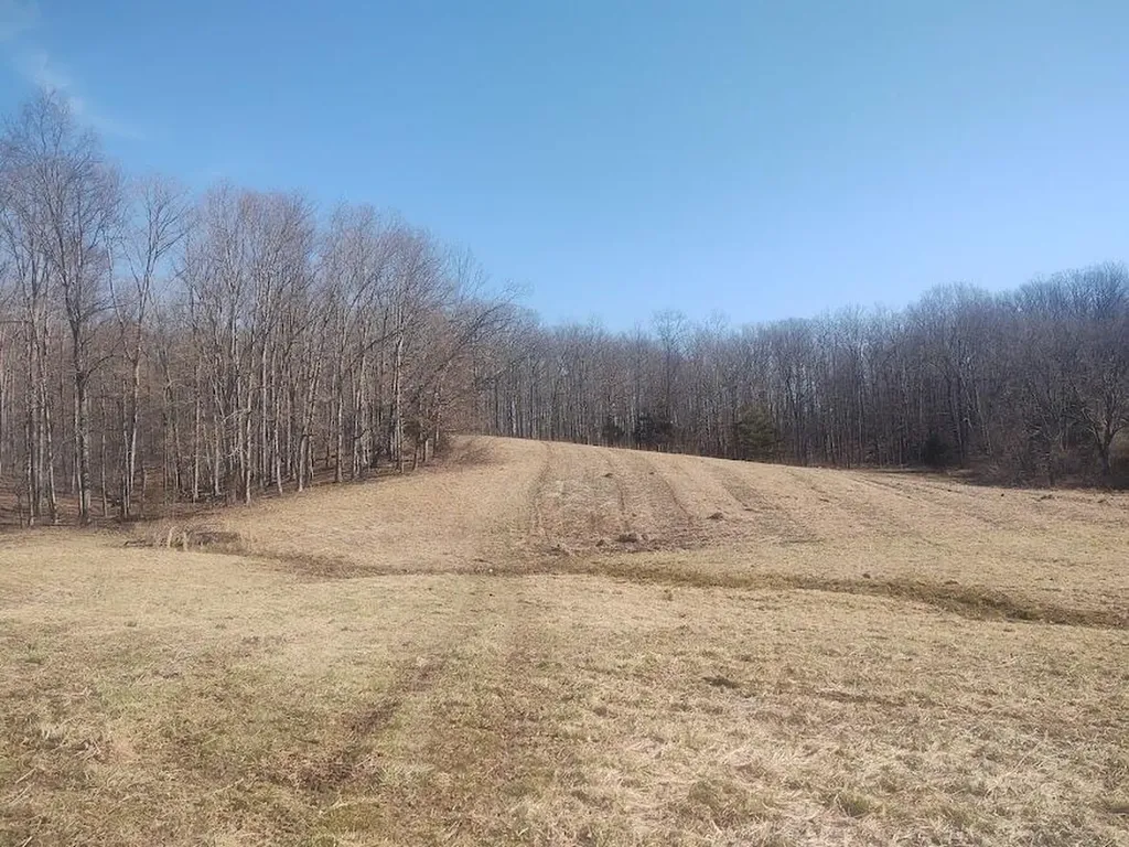 3750 Ky-801 Morehead KY 40351