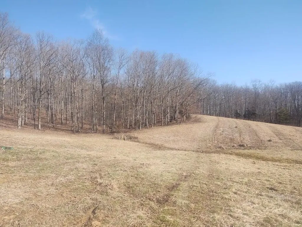 3750 Ky-801 Morehead KY 40351