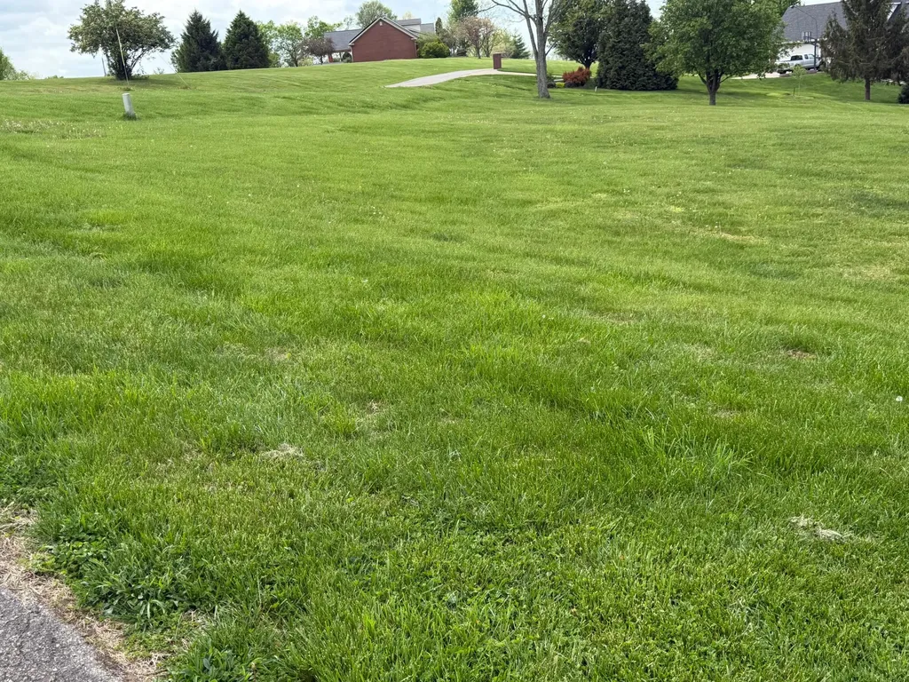 100 Lyn Court Versailles KY 40383