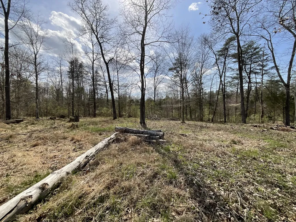 281 Adams Road Owingsville KY 40360