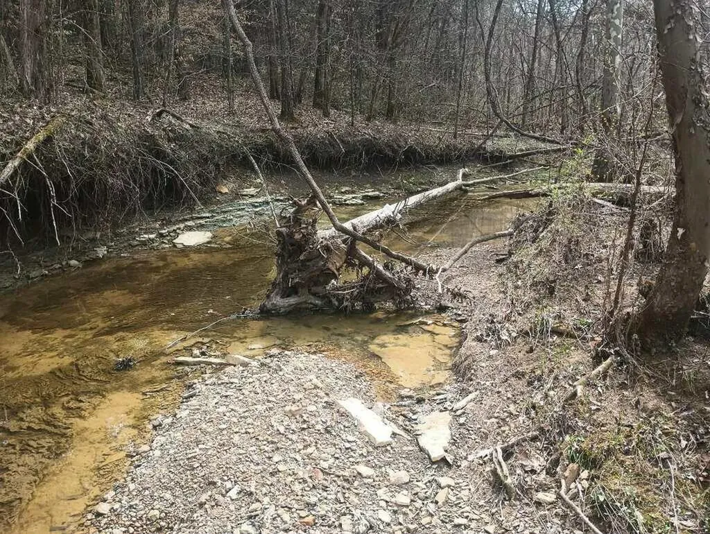 281 Adams Road Owingsville KY 40360