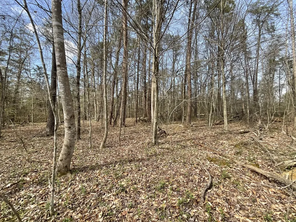 281 Adams Road Owingsville KY 40360