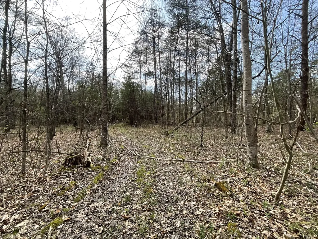 281 Adams Road Owingsville KY 40360