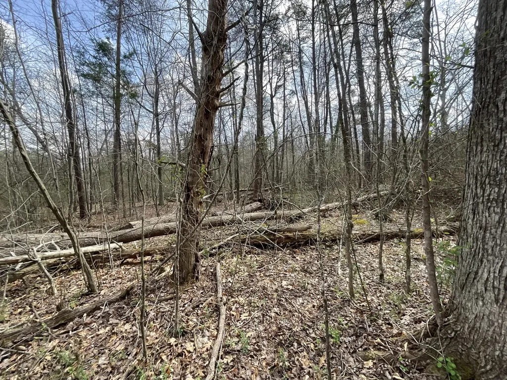 281 Adams Road Owingsville KY 40360