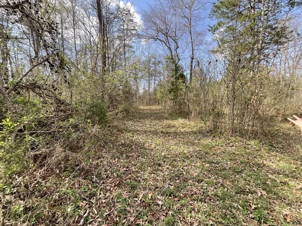 281 Adams Road Owingsville KY 40360