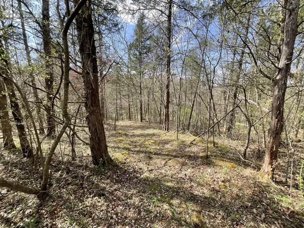 281 Adams Road Owingsville KY 40360