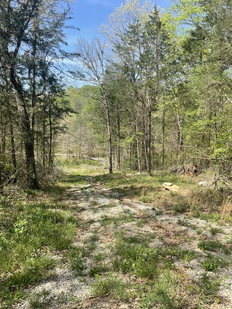 4288 Elihu Cabin Hollow Road Somerset KY 42501
