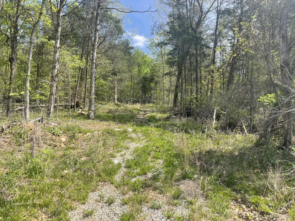 4288 Elihu Cabin Hollow Road Somerset KY 42501