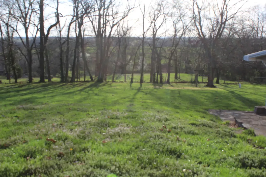 591 Old Lebanon Road Springfield KY 40069