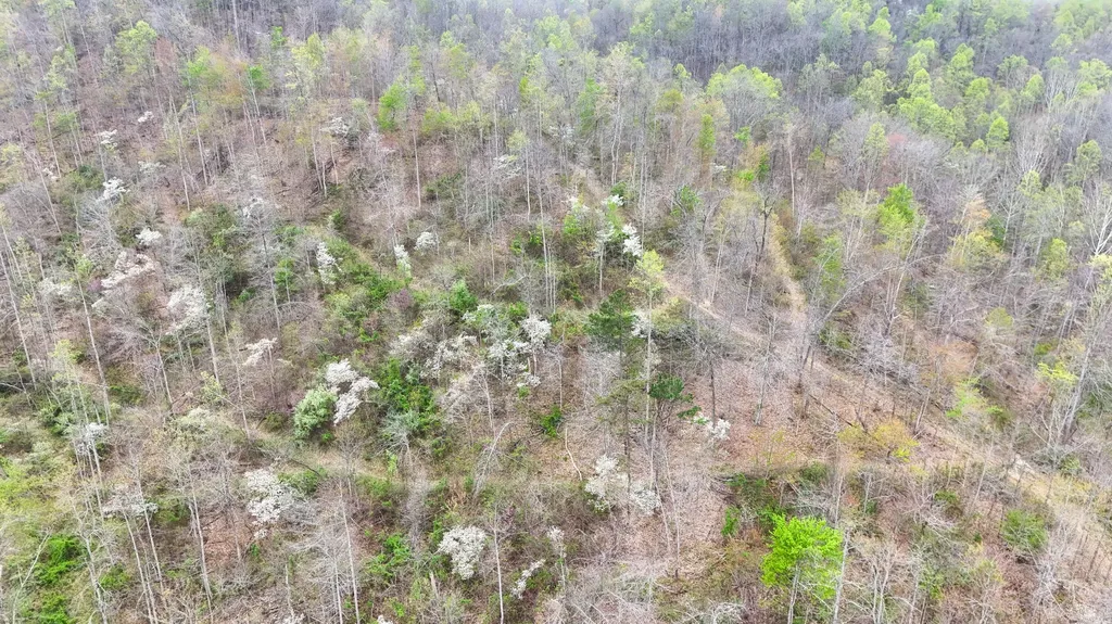560 Davis Drive Olive Hill KY 41164