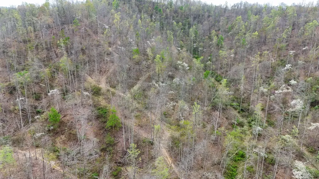 560 Davis Drive Olive Hill KY 41164