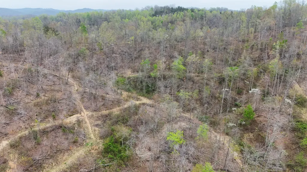 560 Davis Drive Olive Hill KY 41164
