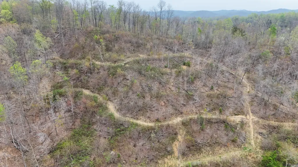560 Davis Drive Olive Hill KY 41164