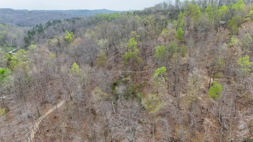 560 Davis Drive Olive Hill KY 41164