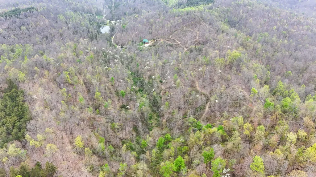 560 Davis Drive Olive Hill KY 41164