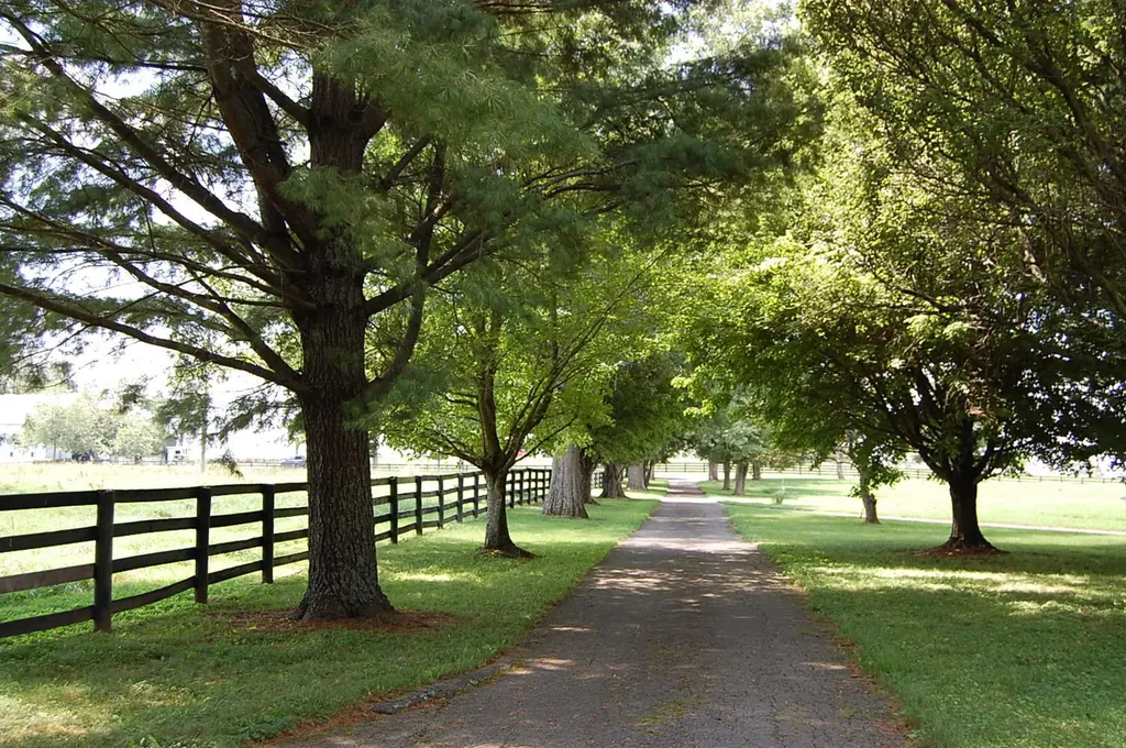 4462 Mount Horeb Pike Lexington KY 40511