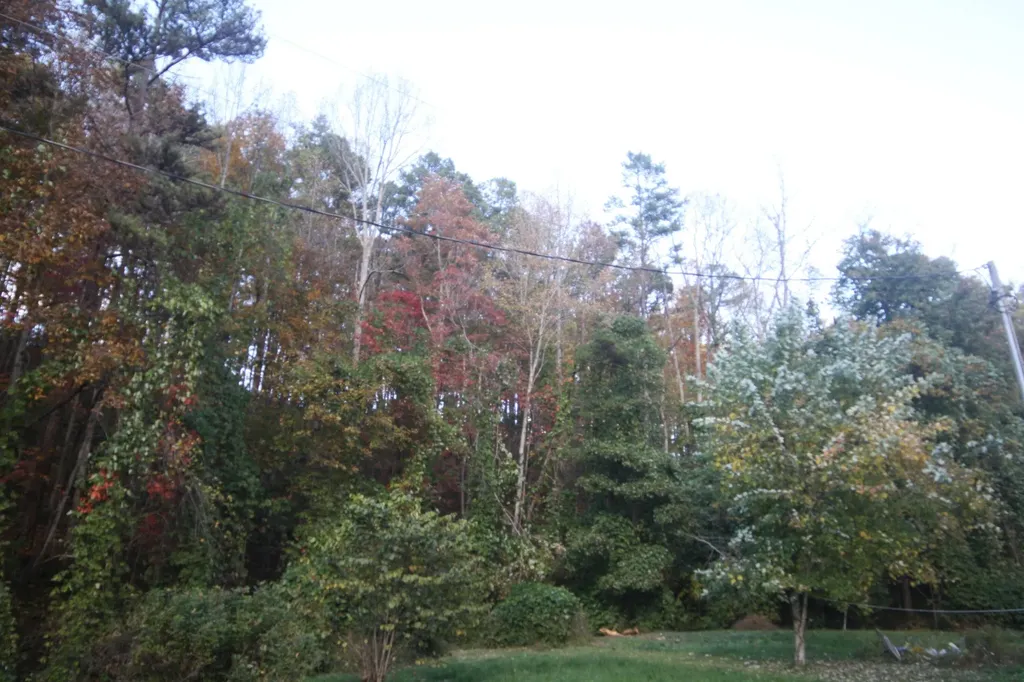 135 Kentucky 3445 Mckee KY 40447