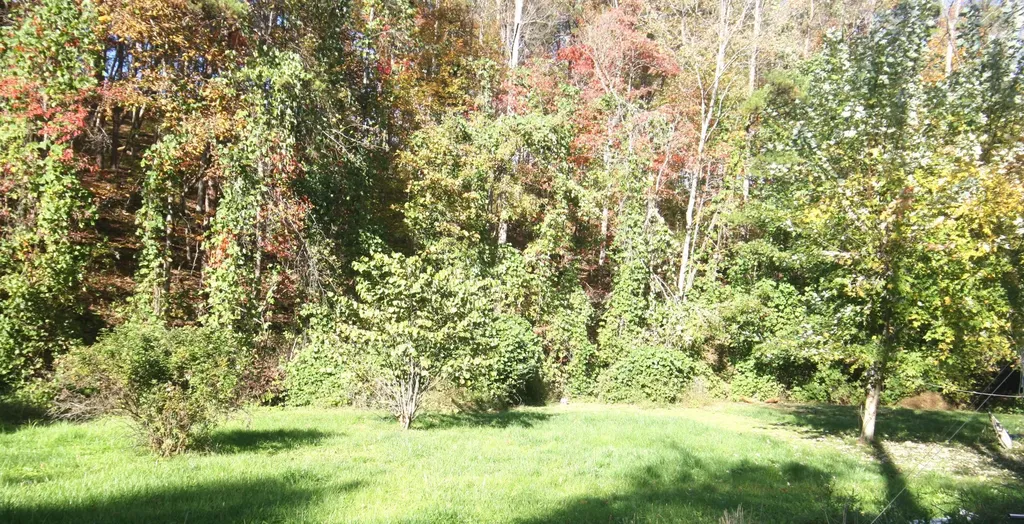 135 Kentucky 3445 Mckee KY 40447