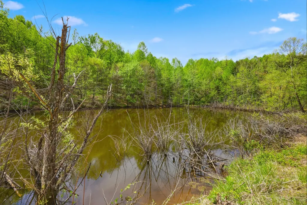 60 Crooked Hill Road London KY 40741