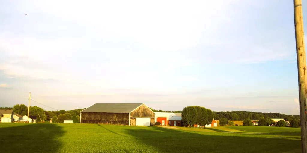 5689 Kentucky 290 Child Mckee KY 40447
