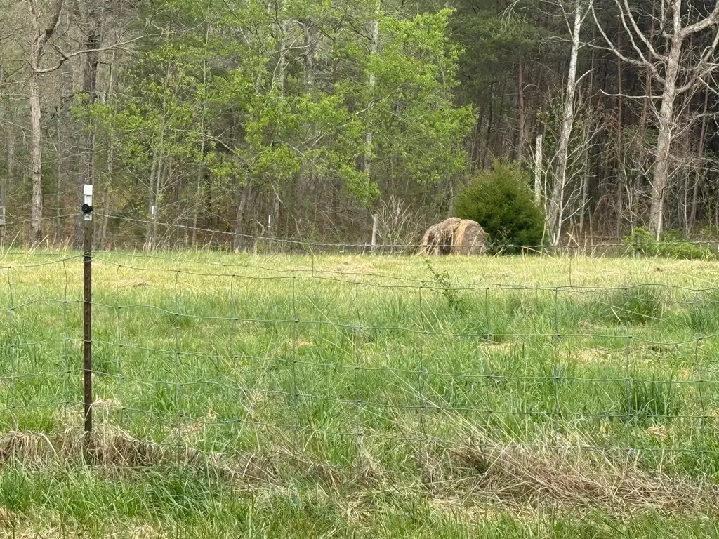 Tract 3 Deer Valley Road Berea KY 40403