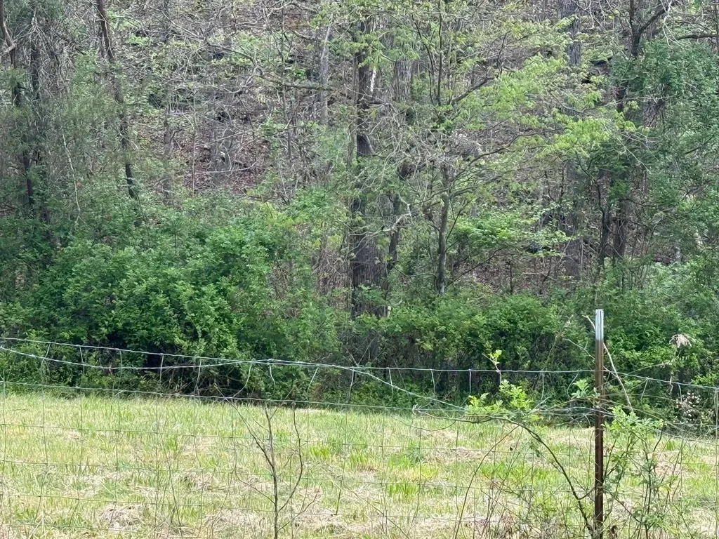 Tract 3 Deer Valley Road Berea KY 40403