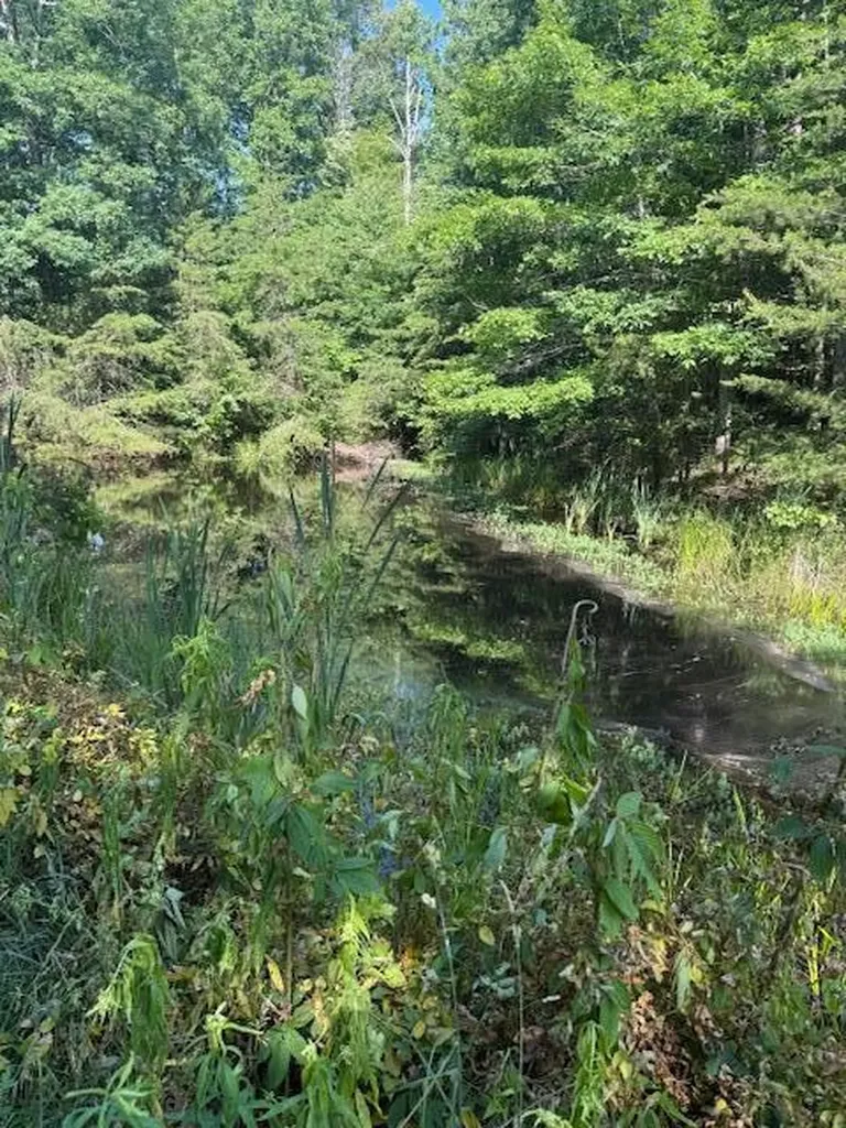 Tract 3 Deer Valley Road Berea KY 40403
