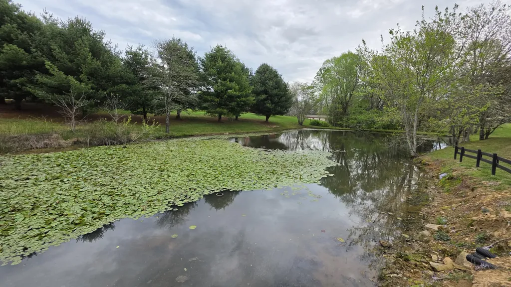 224 Cloyd Drive London KY 40741