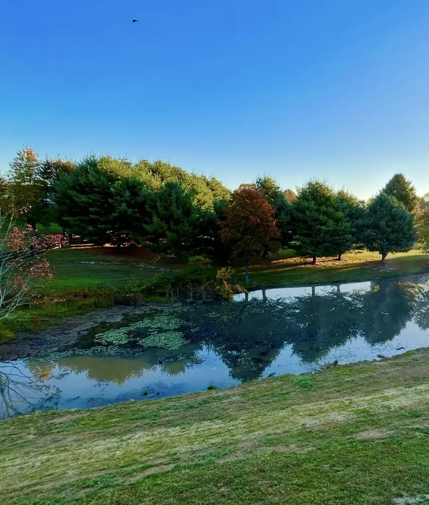 224 Cloyd Drive London KY 40741