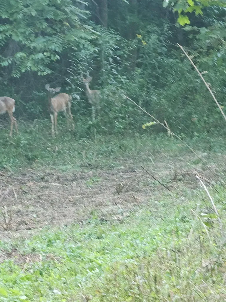 507 Nosco Road Junction City KY 40440