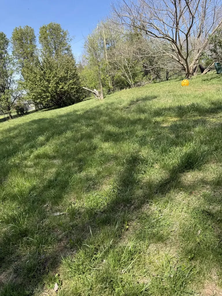 2065 Cartersville Road Paint Lick KY 40461