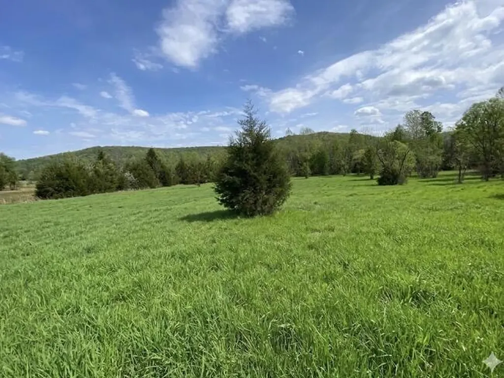 Tract 1 Floyd Morrow Road Monticello KY 42633