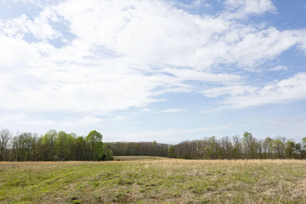 Tbd Ben Lowe Road Morehead KY 40351