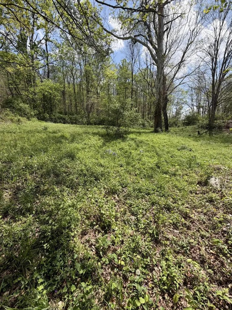 15 Old Us Highway 25 Mt Vernon KY 40456