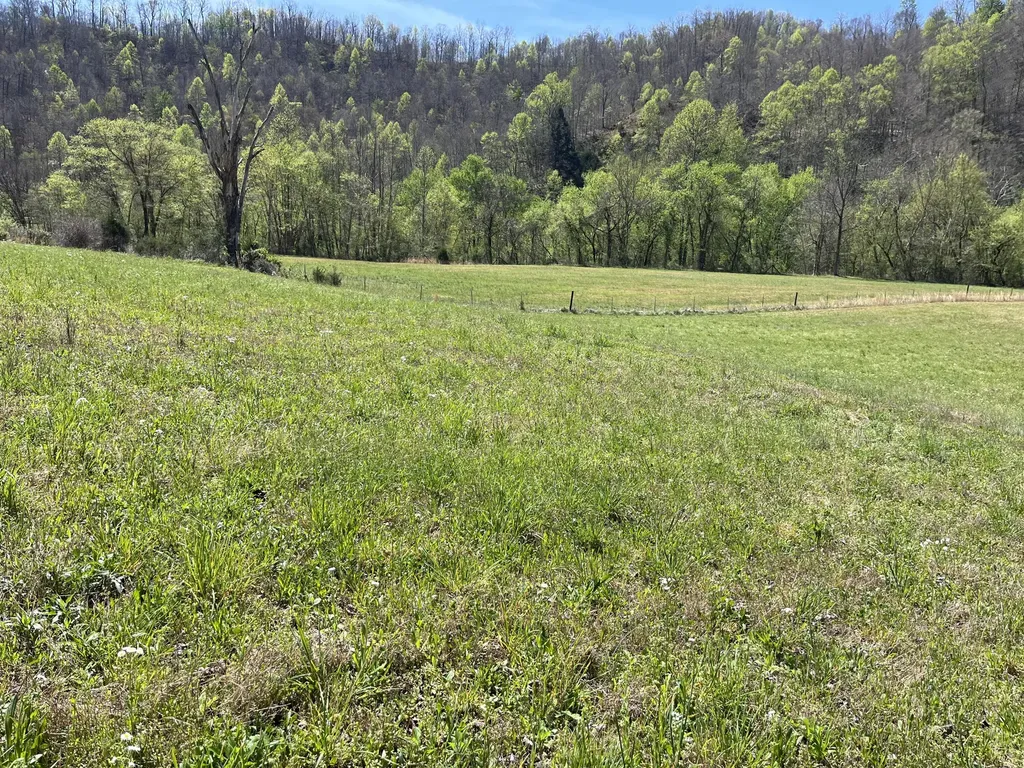 117 Bradley Lane Beattyville KY 41311