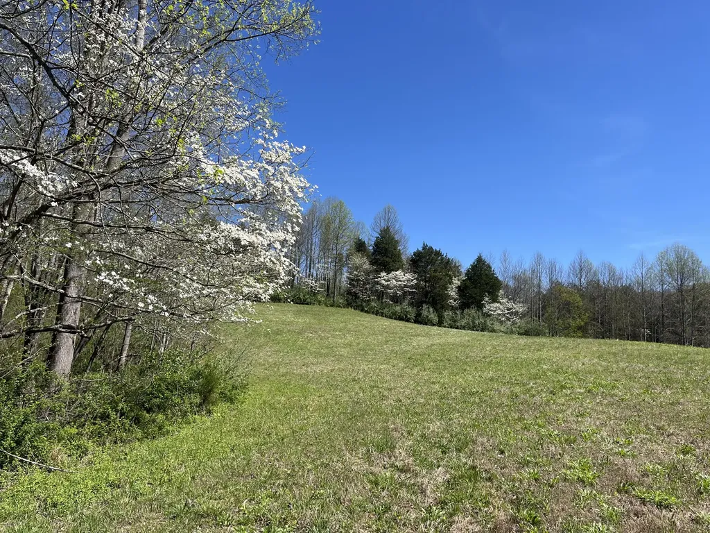 117 Bradley Lane Beattyville KY 41311