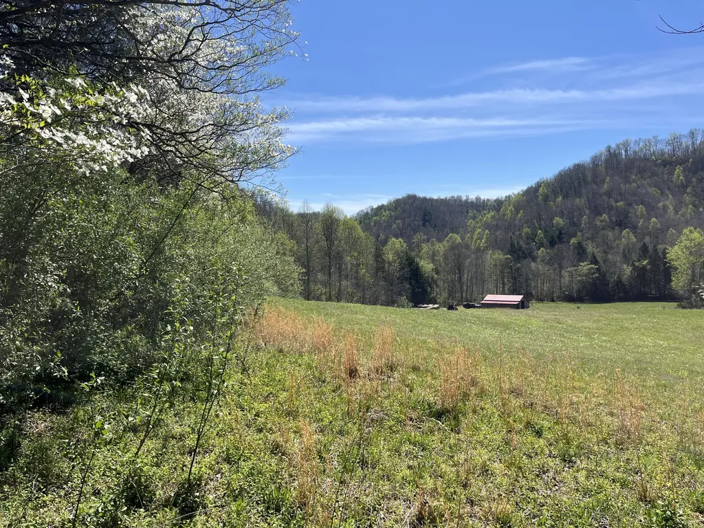 117 Bradley Lane Beattyville KY 41311