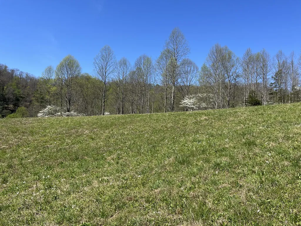117 Bradley Lane Beattyville KY 41311