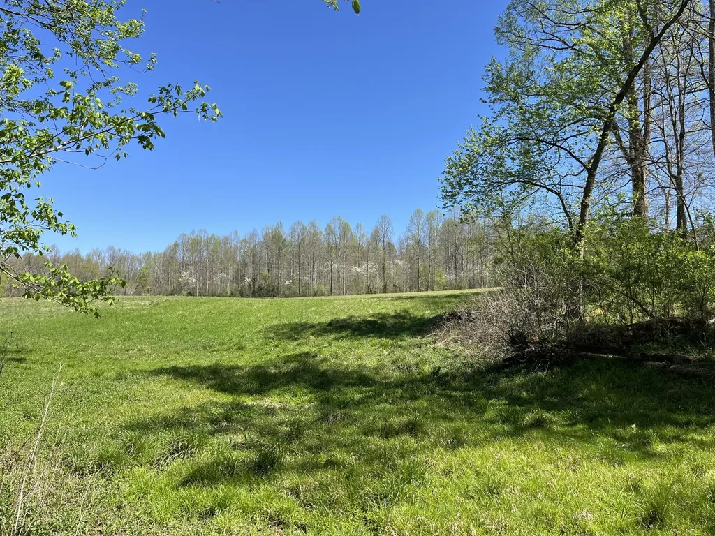 117 Bradley Lane Beattyville KY 41311