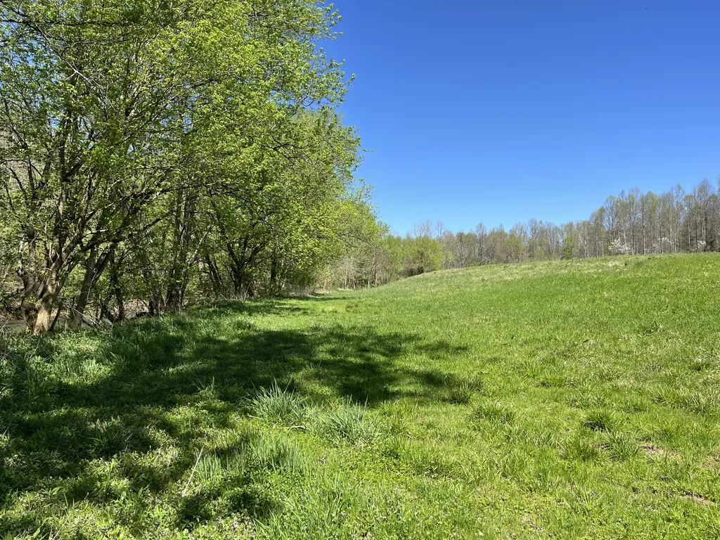117 Bradley Lane Beattyville KY 41311