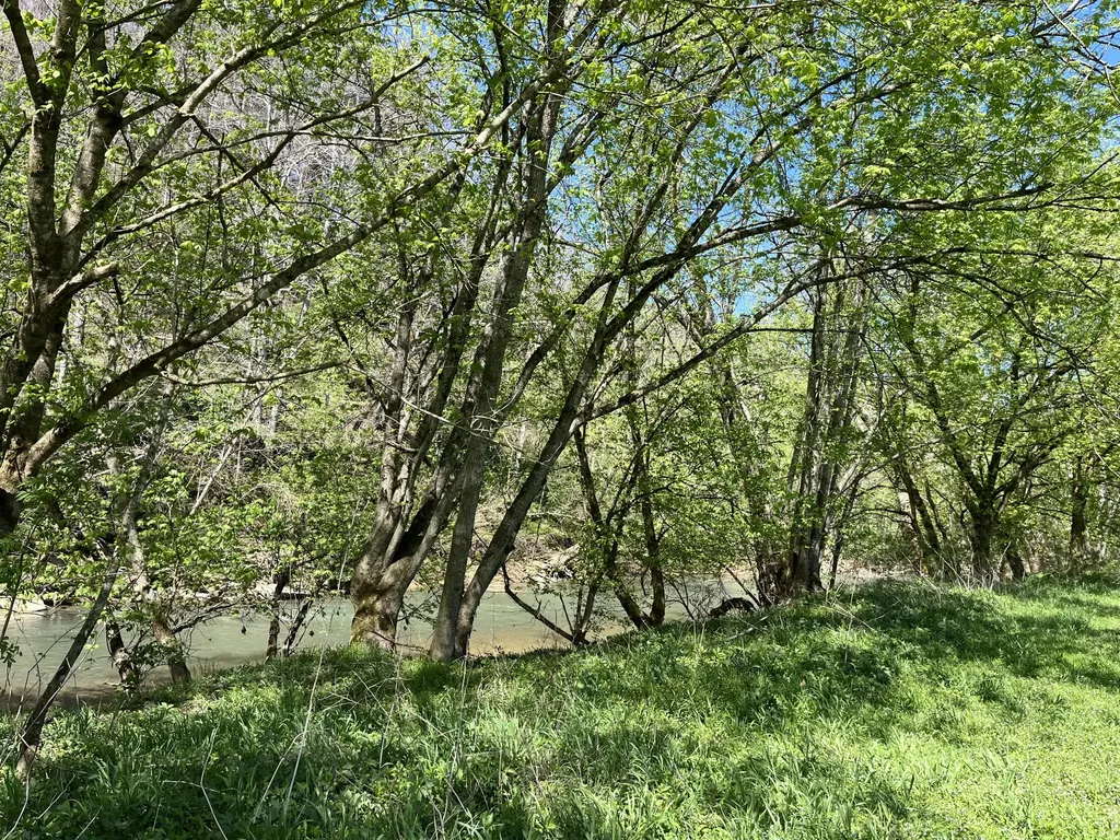 117 Bradley Lane Beattyville KY 41311