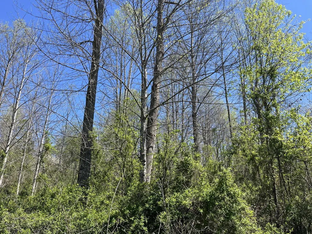 117 Bradley Lane Beattyville KY 41311