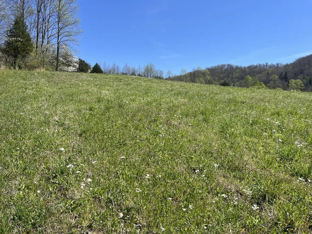 117 Bradley Lane Beattyville KY 41311