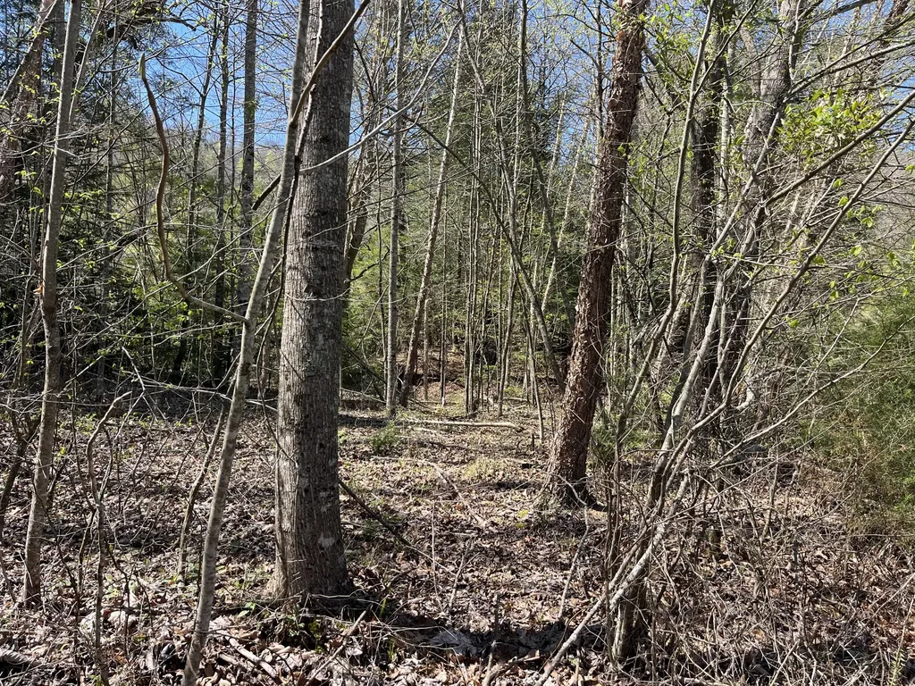 117 Bradley Lane Beattyville KY 41311
