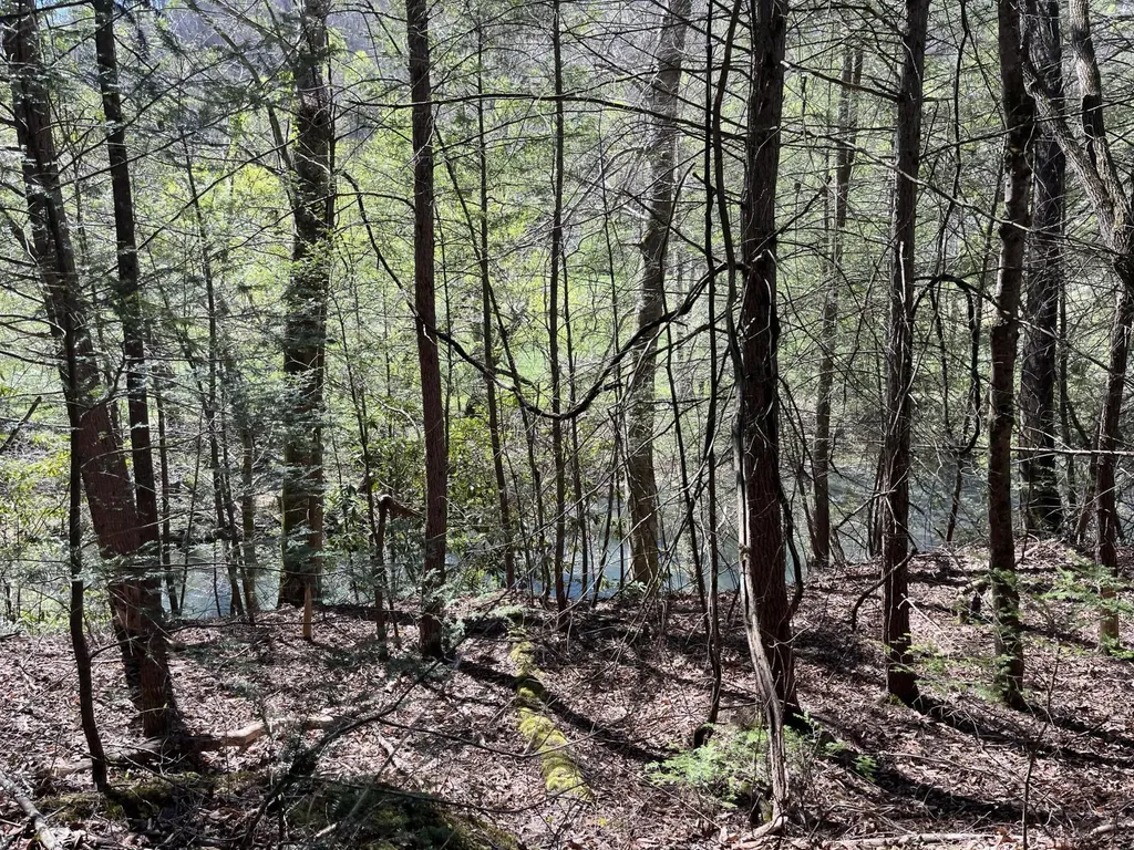 117 Bradley Lane Beattyville KY 41311