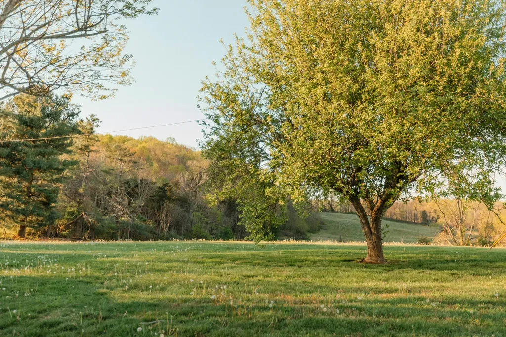 734 E Old Norwood Road Science Hill KY 42553